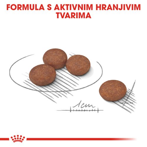 ROYAL CANIN CCN Mini Digestive Care, potpuna hrana za pse - Za odrasle i starije pse malih pasmina (od 1 do 10 kg) - Stariji od 10 mjeseci - Psi skloni osjetljivoj probavi, 3 kg slika 7