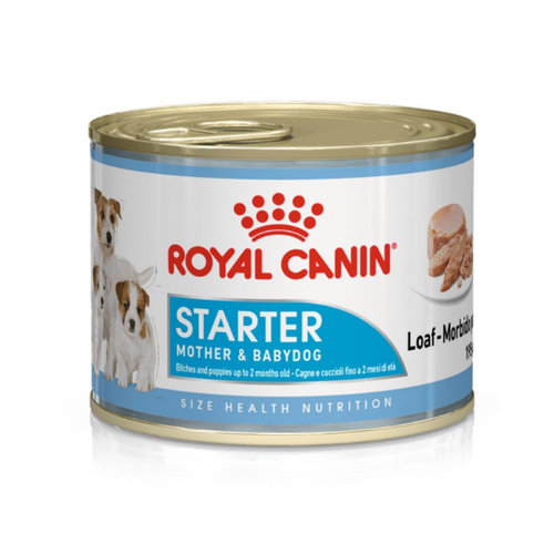 Royal Canin Starter Mousse slika 1