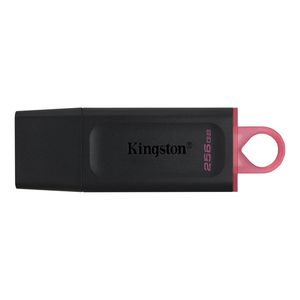 Kingston usb flash DTX/256GB