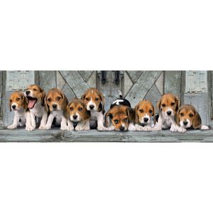 Beagles Panorama Puzzle 1000 Komada