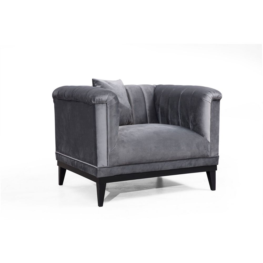 Trendy - Tamno Siva Wing Chair slika 1