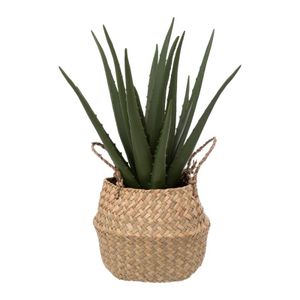 Atmosphera dekorativna biljak aloe natural h37 cm