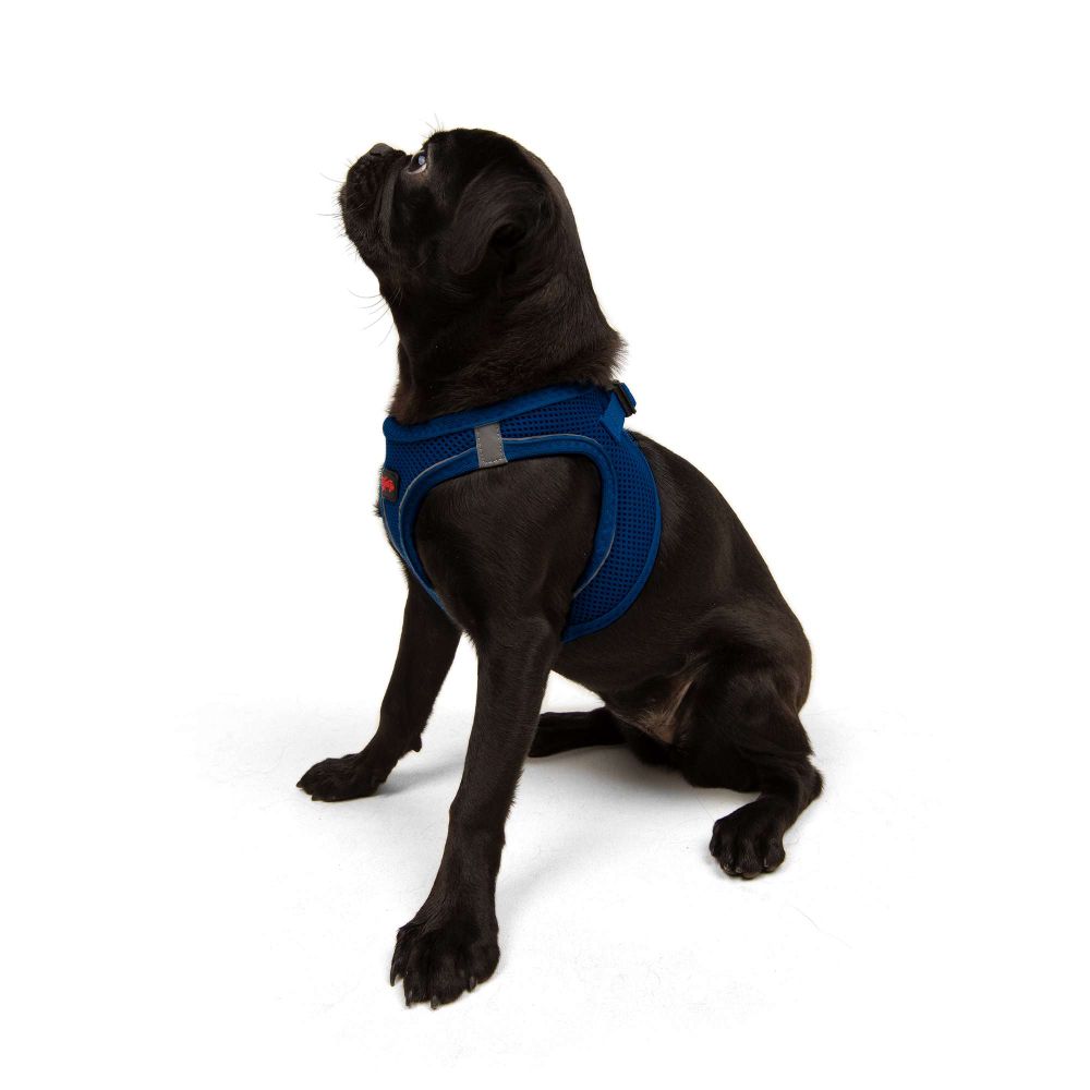 Air-Mesh - Sax Blue Sax Blue Dog Harness slika 6