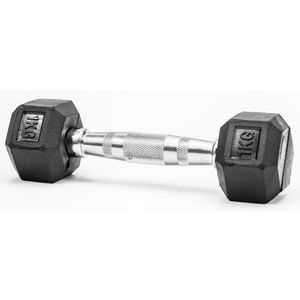 FITMOTIV gumirana bučica HEX 1 kg