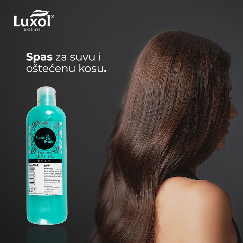 Luxol Šampon za kosu univerzalni bršljen 1000ml slika 2