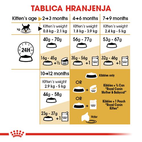 ROYAL CANIN FBN British Shorthair KITTEN, potpuna i uravnotežena hrana za mačiće, specijalno za mačiće pasmine Britanska krtkodlaka mačka u dobi do 12 mjeseci, 2 kg slika 3