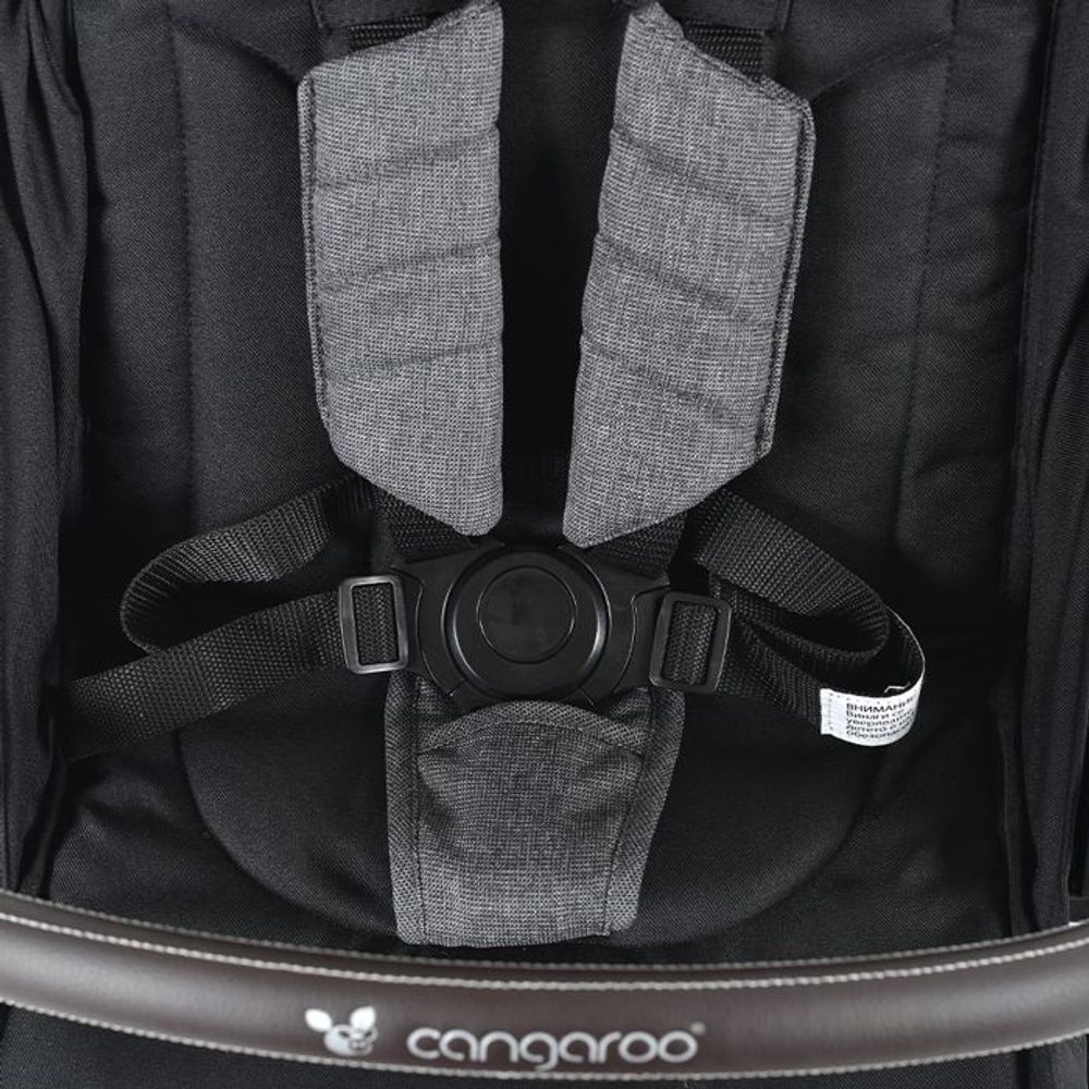Cangaroo Kolica Easy Fold, Black slika 11