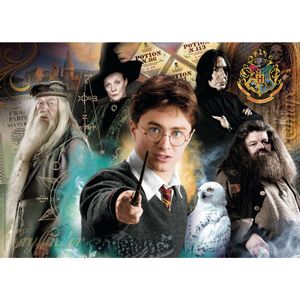 Harry Potter puzzle 500 kom