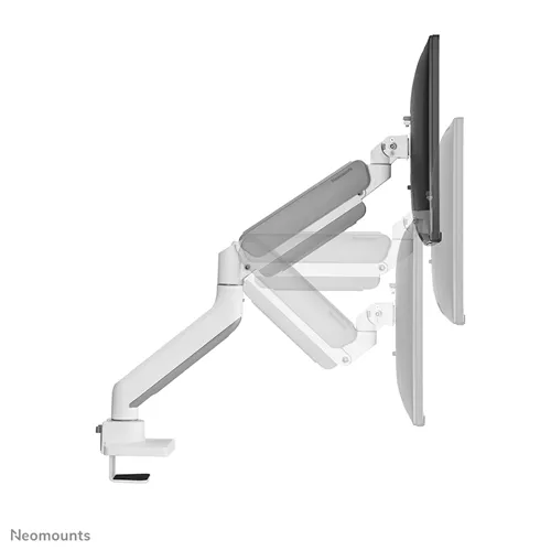 NEOMOUNTS DS70-450WH1 stalak za monitor 17-42" - bijeli slika 2