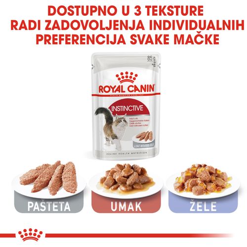 ROYAL CANIN FHN Instinctive Loaf, potpuna hrana u vrećici za  odrasle mačke, pašteta, 12x85 g slika 2