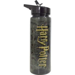 Harry Potter Logo boca 750ml