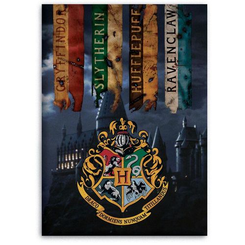 Harry Potter Hogwarts dječja dekica 100x140cm slika 1