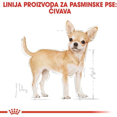 ROYAL CANIN BHN Chihuahua Adult, potpuna hrana specijalno prilagođena potrebama odrasle čivave, 1,5 kg slika 4