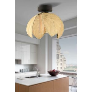 Luster 64884 – boje: krem i crna