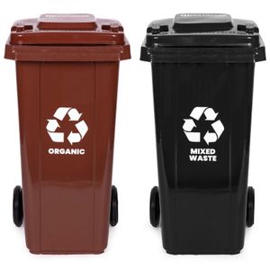 Set od 2 kante za otpad, 2 × 120 L, crna i smeđa, za miješani i bio otpad, s gumenim kotačima