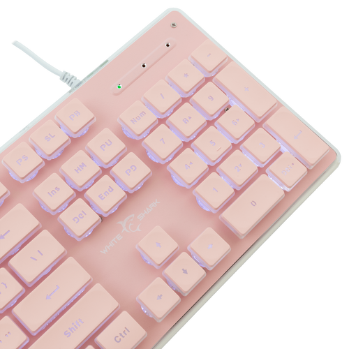 White Shark GK 003441 TACHI Pink, Keyboard - US slika 4