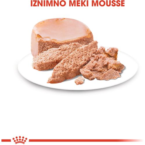 ROYAL CANIN SHN Starter Mousse, potpuna hrana za pse, namijenjena je štencima za odvikavanje od sisanja sve do kraja 2. mjeseca života te kujama tijekom zadnje trećine graviditeta i tijekom laktacije, 12x195 g slika 7