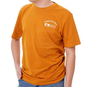 Kappa Majica za muškarce Kappa Authentic Shuo