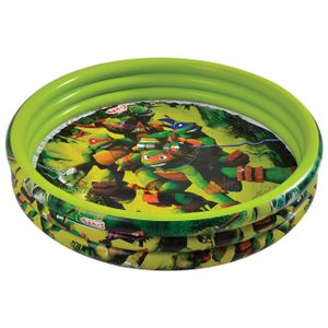 Denis Dječiji bazen TMNT 122cm