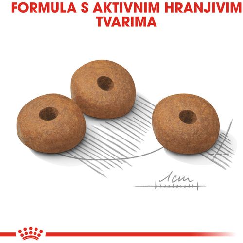 ROYAL CANIN CCN Mini Light Weight Care, potpuna hrana za pse - Za odrasle i starije pse malih pasmina (od 1 do 10 kg) - Stariji od 10 mjeseci - Psi skloni prekomjernoj tjelesnoj težini, 3 kg slika 9