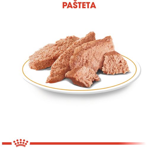 ROYAL CANIN BHN Poodle Adult, potpuna hrana za odrasle pudle starije od 10 mjeseci, 12x85 g slika 6