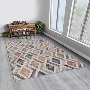 Woopamuk393 Multicolor Rug (80 x 120)