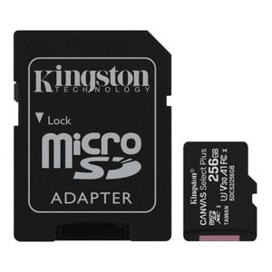 KINGSTON Memorijska kartica A1 MicroSDXC 256GB 100R class 10 SDCS2/256GB + adapter