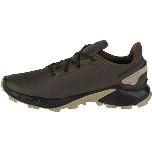 Salomon alphacross 4 gtx 471169 slika 2