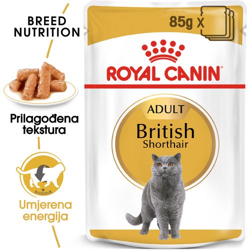 ROYAL CANIN FBN British Shorthair, potpuna i uravnotežena mokra hrana u umaku za odrasle mačke, specijalno za britanske krtkodlake mačke starije od 12 mjeseci, 12x85 g slika 6