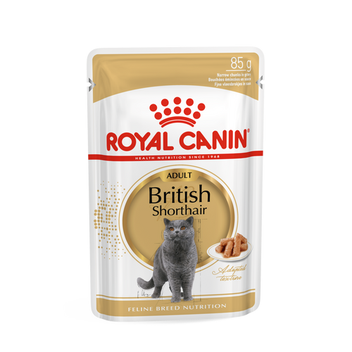 ROYAL CANIN FBN British Shorthair, potpuna i uravnotežena mokra hrana u umaku za odrasle mačke, specijalno za britanske krtkodlake mačke starije od 12 mjeseci, 12x85 g slika 1