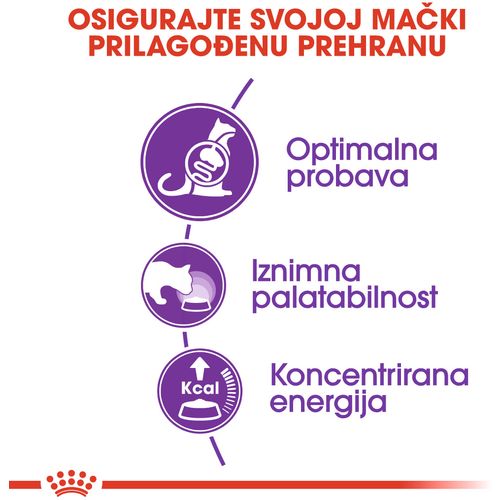 ROYAL CANIN FHN Sensible 33, potpuna i uravnotežena hrana za odrasle mačke starije od godinu dana, s osjetljivim probavnim sustavom, 400 g slika 7