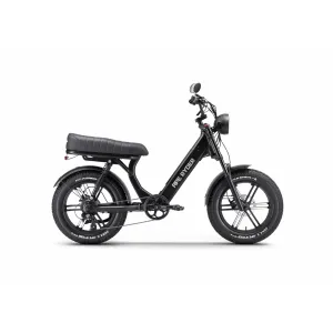 Ape Ryder MD10 PRO Black električni bicikl