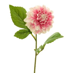 Cvet DAHLIA 50cm 13266-7 - Pink - NNT