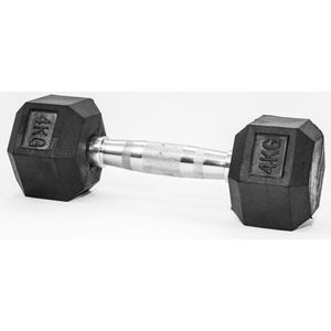 FITMOTIV gumirana bučica HEX 4 kg