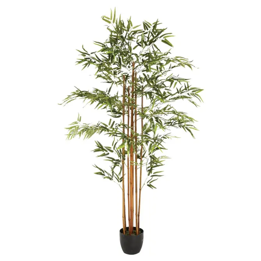 Atmosphera umjetno cvijeće u tegli bambus 180cm pes/pe zeleno slika 1