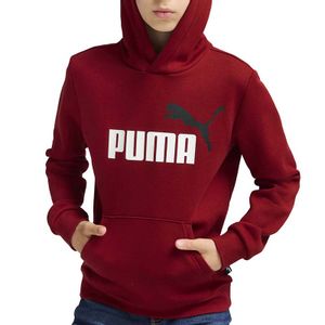 Puma Duks Puma Ess+ 2 Col Big Logo Hoodie Fl B Za Dečake