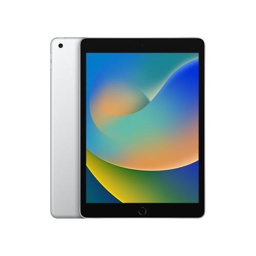 Apple iPad 9th Gen 10.2 inch A13 WiFi 256GB Silver (fk2p3ll/a) slika 1