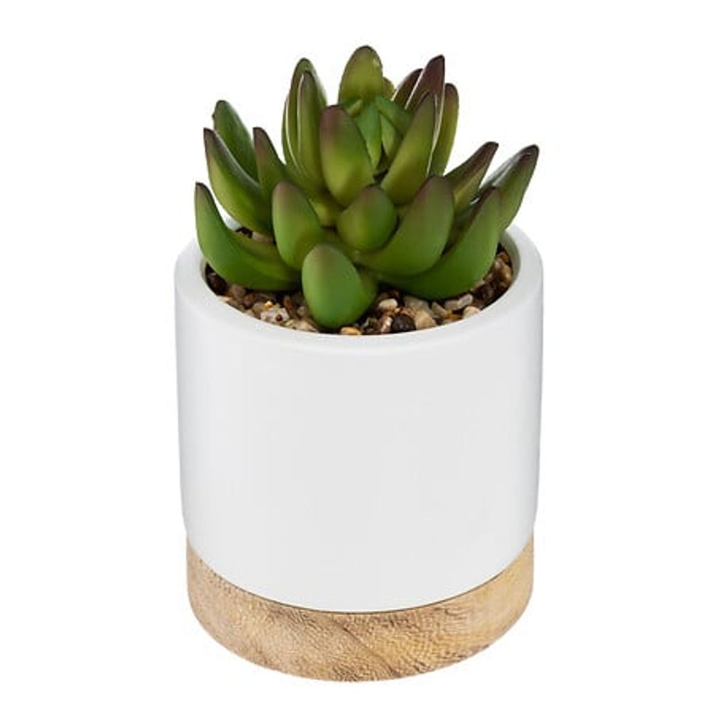Atmosphera umjetno cvijeće succulent u keramičkoj posudi 12cm slika 1