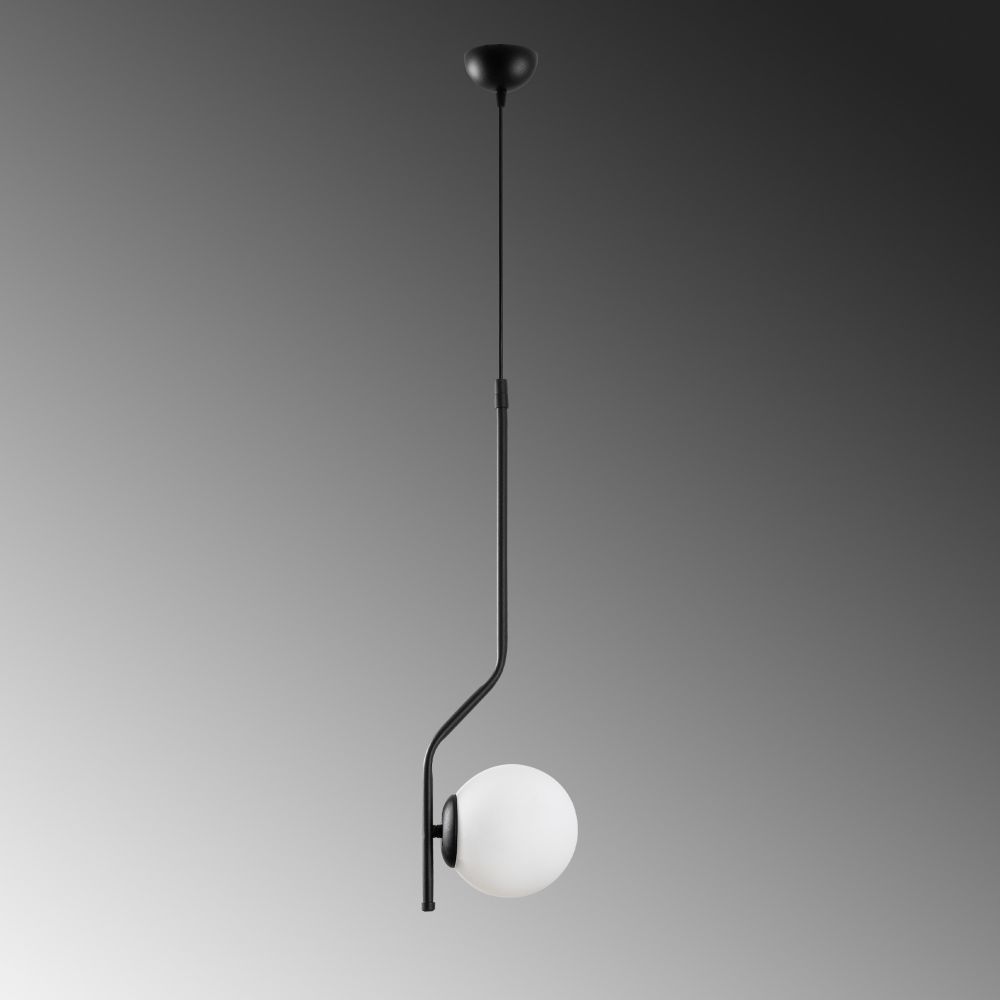 Tulıp - 13818 Crni Luster slika 8