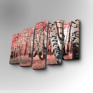 5PUC-059 Multicolor Decorative Canvas Painting (5 Pieces)