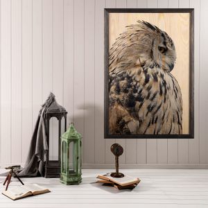 Wallity Drvena uokvirena slika, Owl