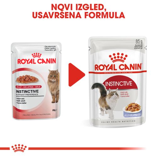 ROYAL CANIN FHN Instinctive Jelly, potpuna hrana u vrećici za  odrasle mačke, u želeu, 12x85 g slika 2