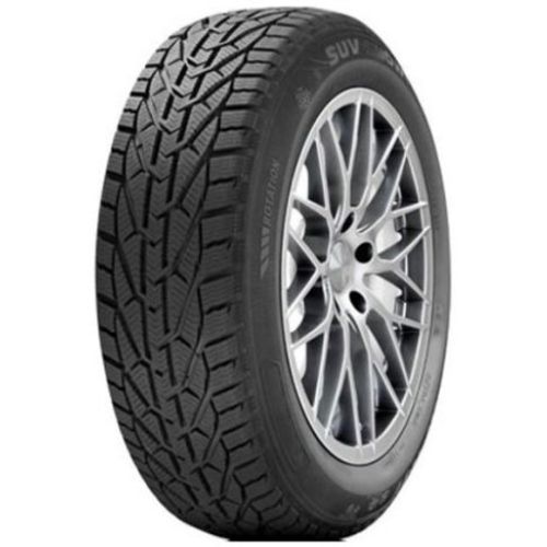 215/50R17 WINTER 95V XL slika 1