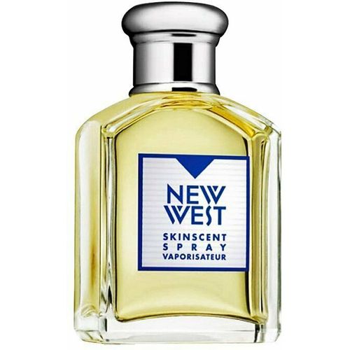 Aramis New West Eau De Toilette 100 ml (man) slika 1