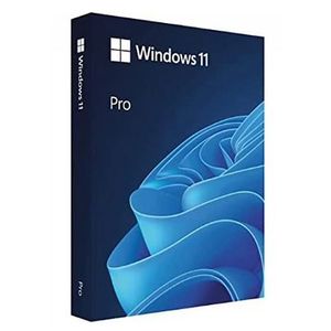 Microsoft Windows 11 Pro 64bit Eng Intl OEM DSP DVD (FQC-10529)