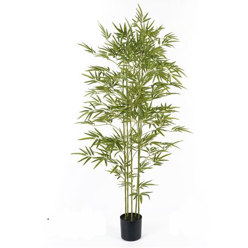 Lilium dekorativni bambus 175cm 567277 slika 1