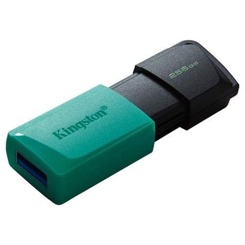 USB memorija KINGSTON DTXM 256GB slika 2