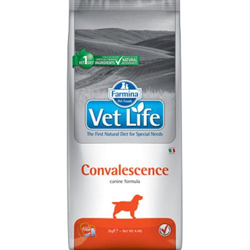 Vet Life Dog Convalescence 2 kg slika 1