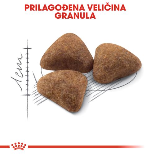 ROYAL CANIN FHN Indoor 27, potpuna i uravnotežena hrana za odrasle kućne mačke (1-7 godina), 2 kg slika 6