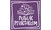 Publik Praktikum logo